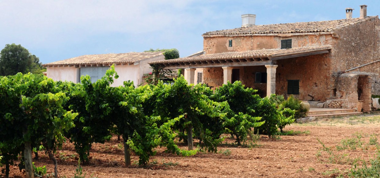 El sumiller de El Bulli recomendó nuestro vino blanco y agotamos las existencias